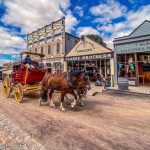 WhatsApp Image 2025-03-02 at 9.04.31 AM (1)