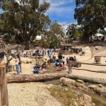 WhatsApp Image 2025-03-02 at 9.04.32 AM (1)